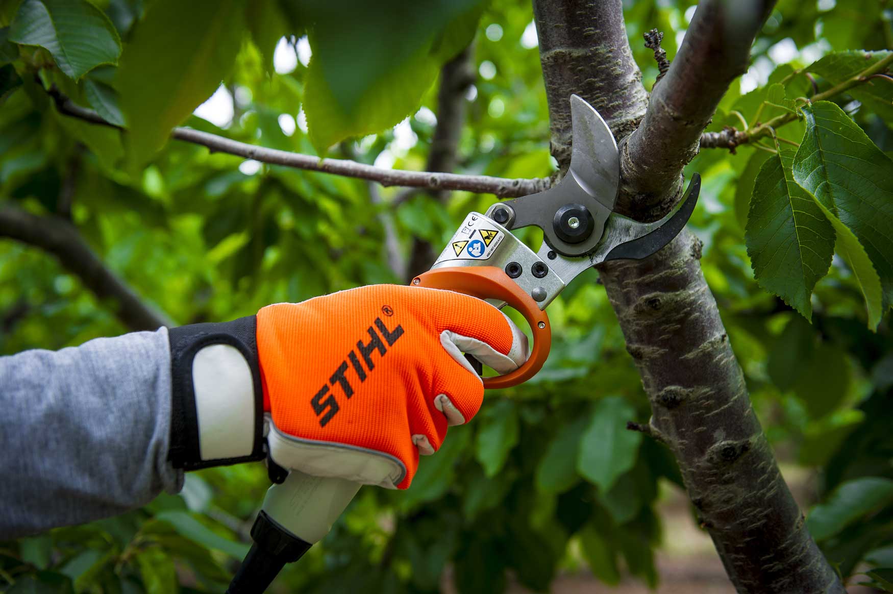 tijeras de podar eléctricas en la agricultura