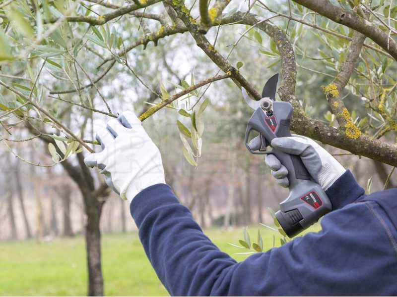 tijeras eléctricas para podar árboles