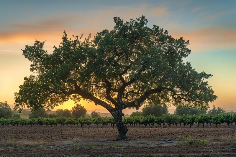 como podar almendros